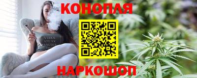 гидра Шахты
