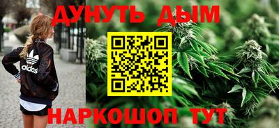 гидра Шахты