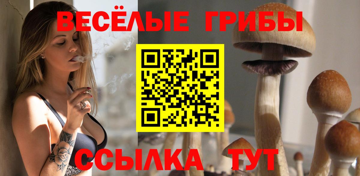 Псилоцибиновые грибы Psilocybe Гусь-Хрустальный